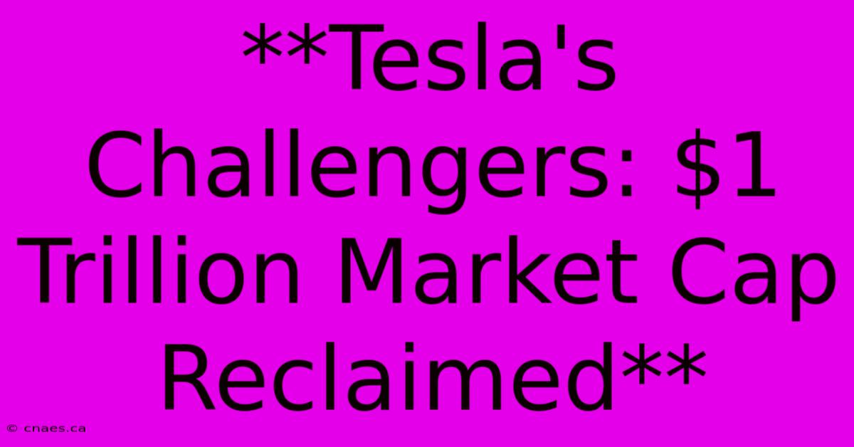 **Tesla's Challengers: $1 Trillion Market Cap Reclaimed**