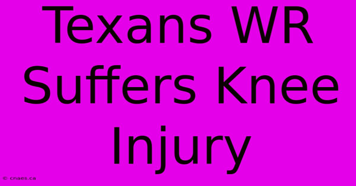 Texans WR Suffers Knee Injury