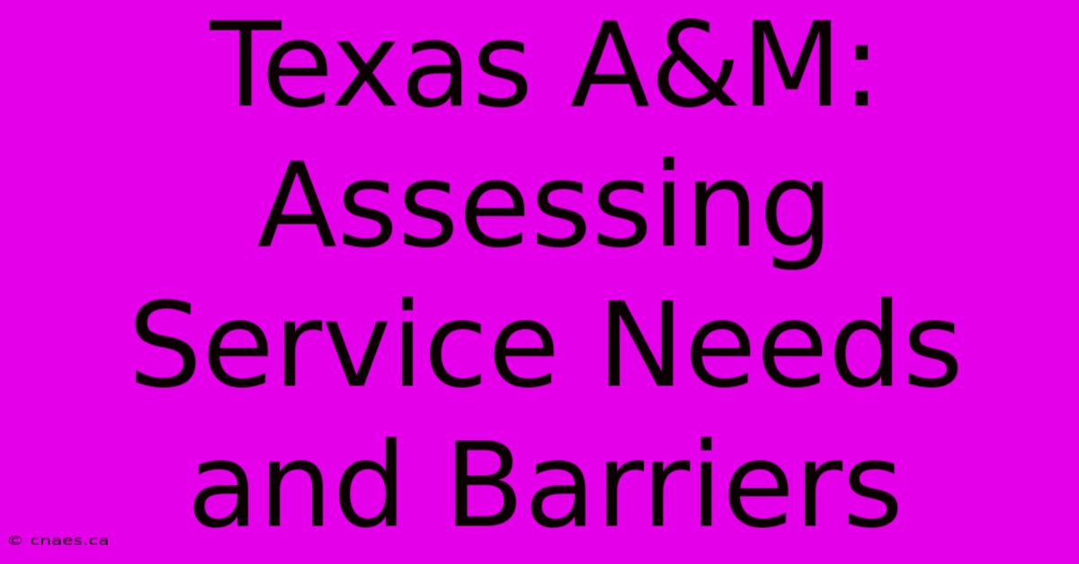 Texas A&M: Assessing Service Needs And Barriers