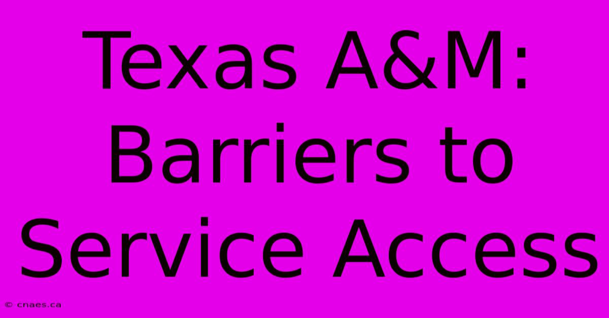 Texas A&M:  Barriers To Service Access  