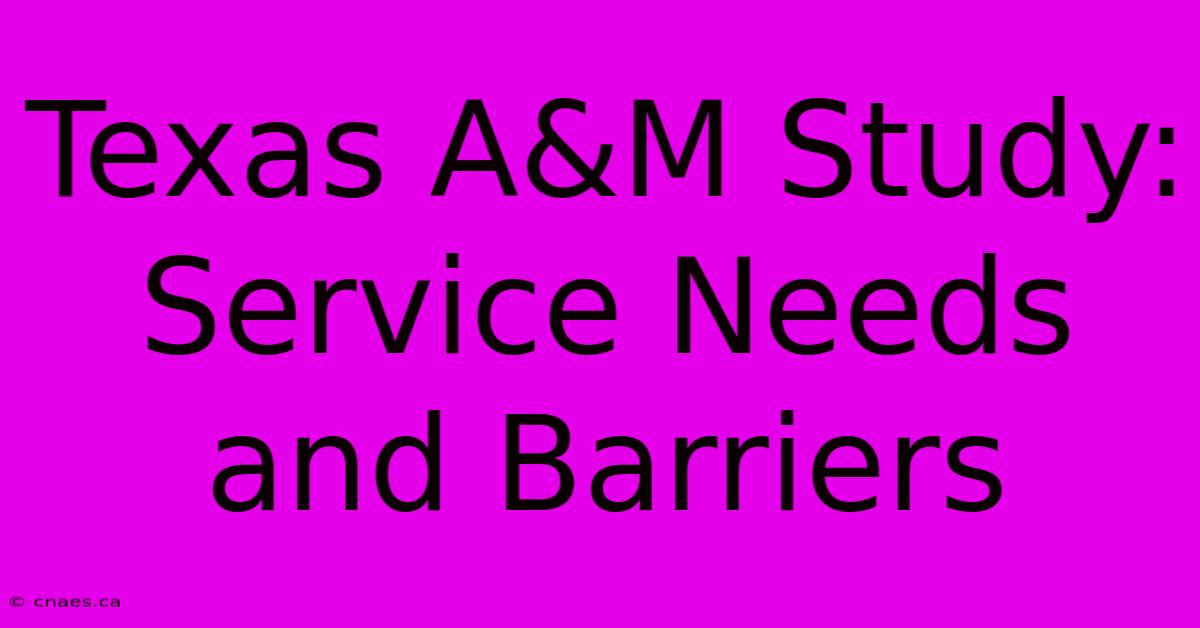 Texas A&M Study: Service Needs And Barriers 