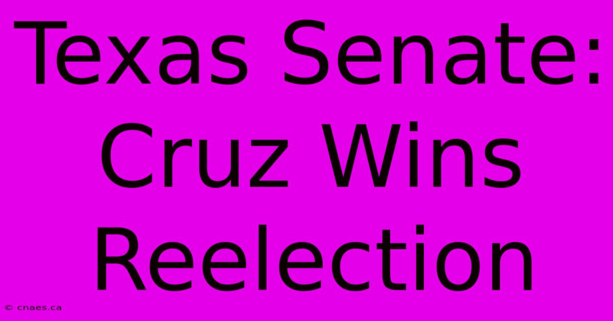 Texas Senate: Cruz Wins Reelection