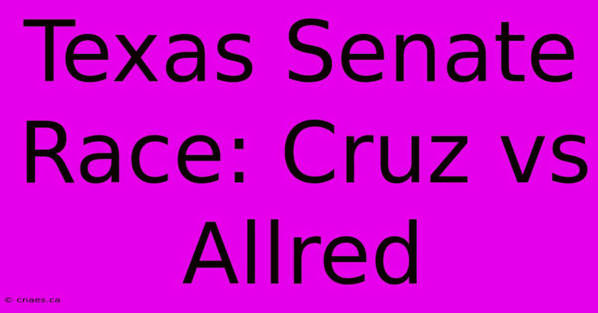 Texas Senate Race: Cruz Vs Allred