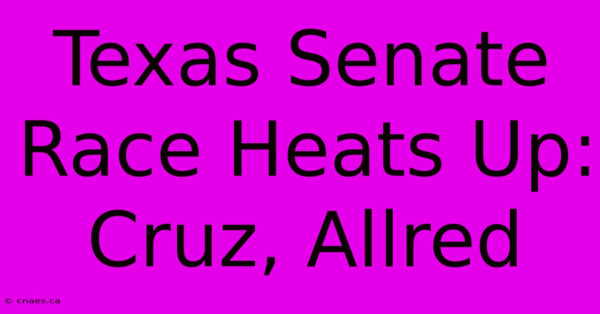 Texas Senate Race Heats Up: Cruz, Allred