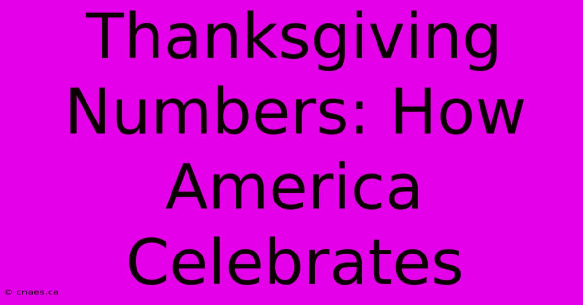 Thanksgiving Numbers: How America Celebrates