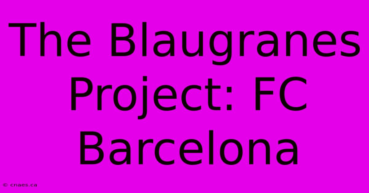 The Blaugranes Project: FC Barcelona