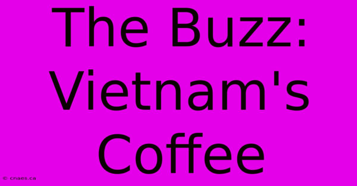 The Buzz: Vietnam's Coffee