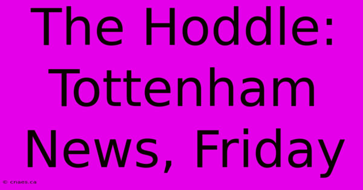 The Hoddle: Tottenham News, Friday