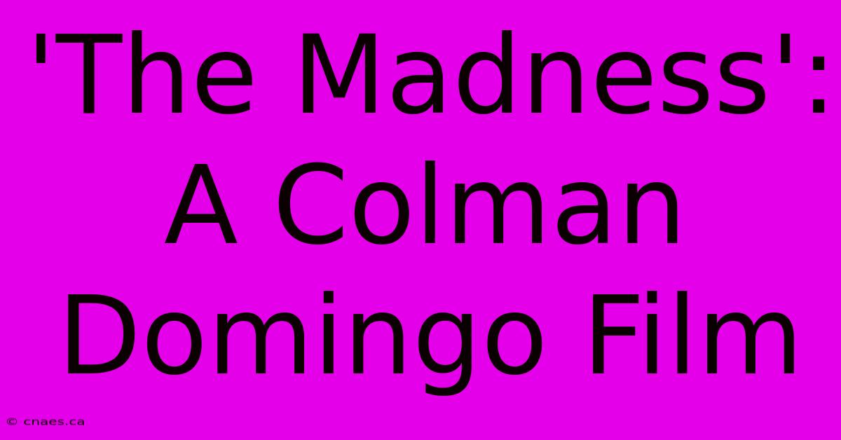 'The Madness': A Colman Domingo Film