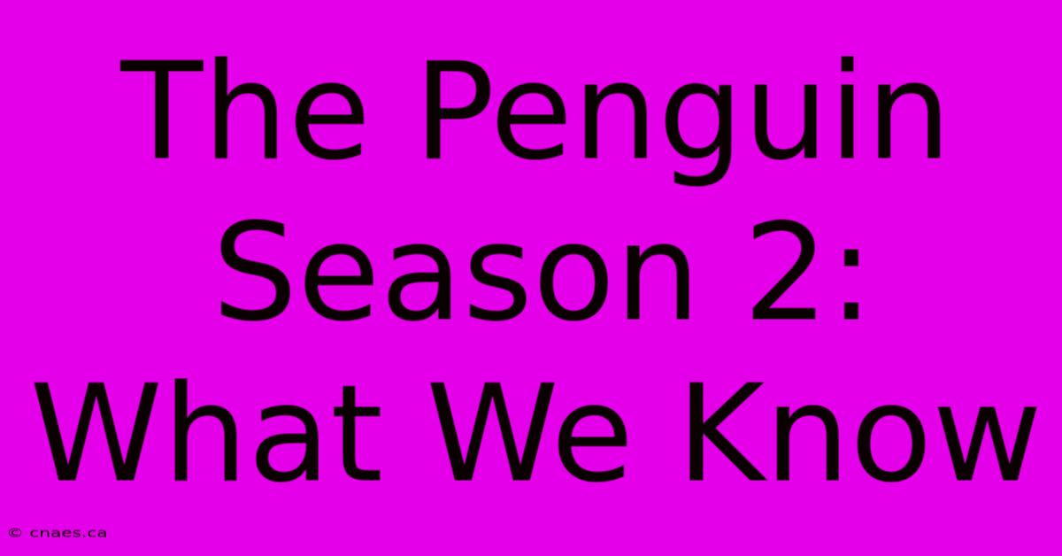 The Penguin Season 2: What We Know 