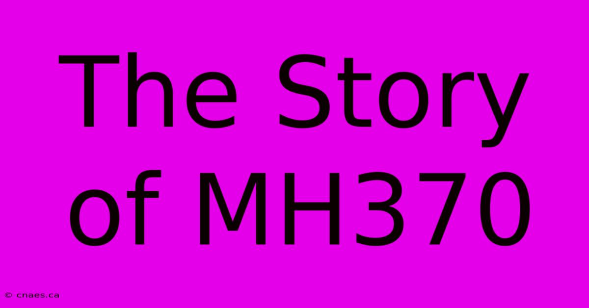 The Story Of MH370