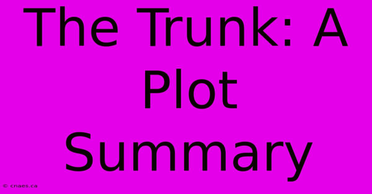 The Trunk: A Plot Summary