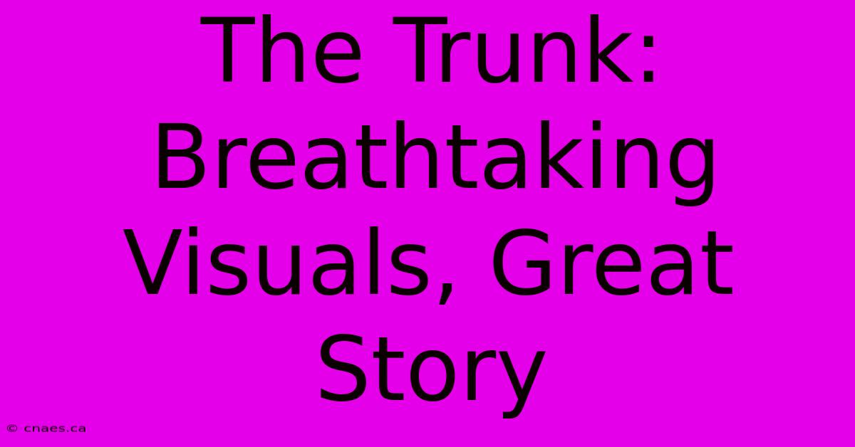 The Trunk: Breathtaking Visuals, Great Story