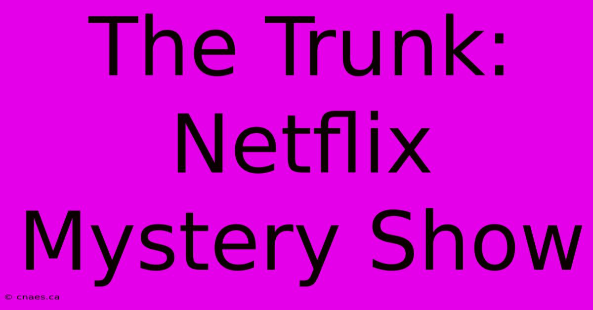 The Trunk:  Netflix Mystery Show