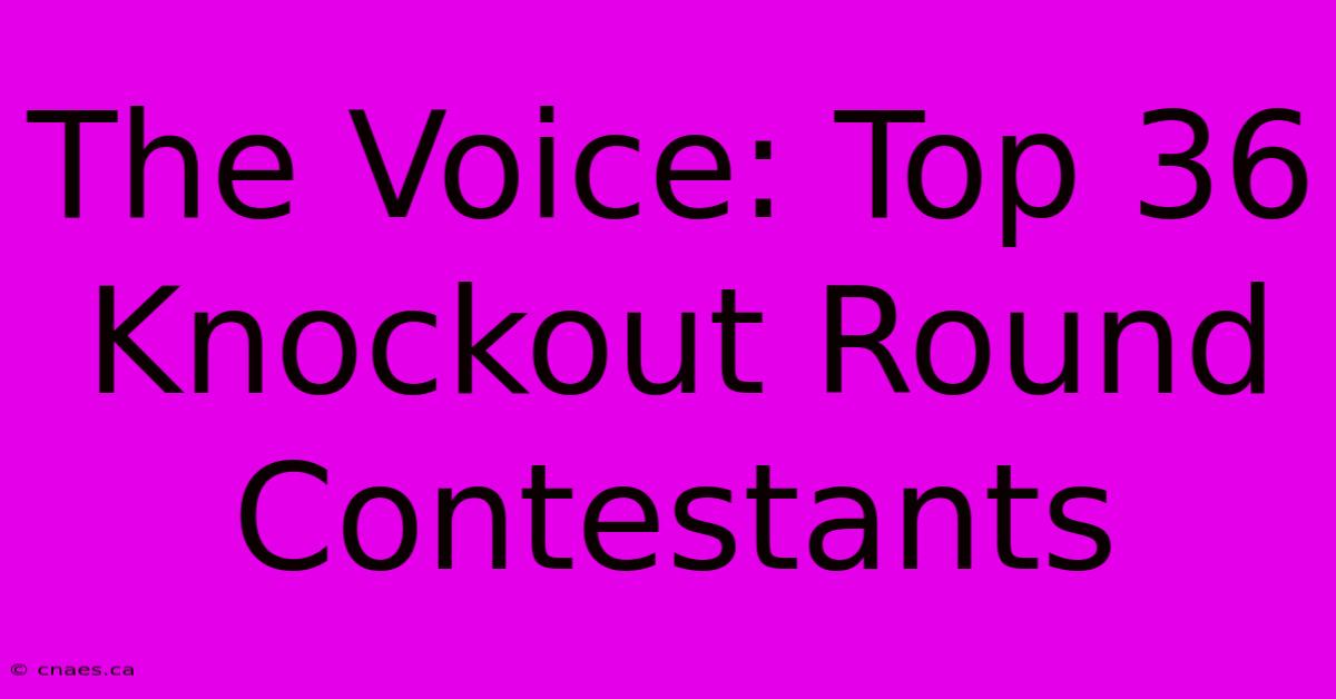 The Voice: Top 36 Knockout Round Contestants