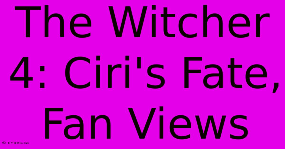 The Witcher 4: Ciri's Fate, Fan Views