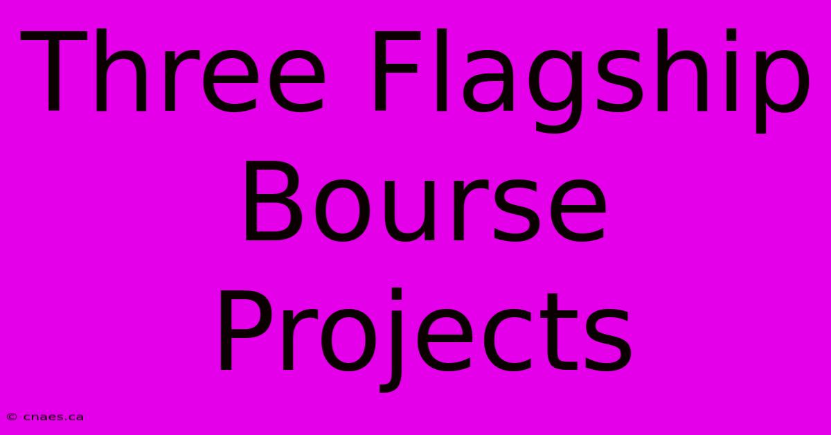 Three Flagship Bourse Projects