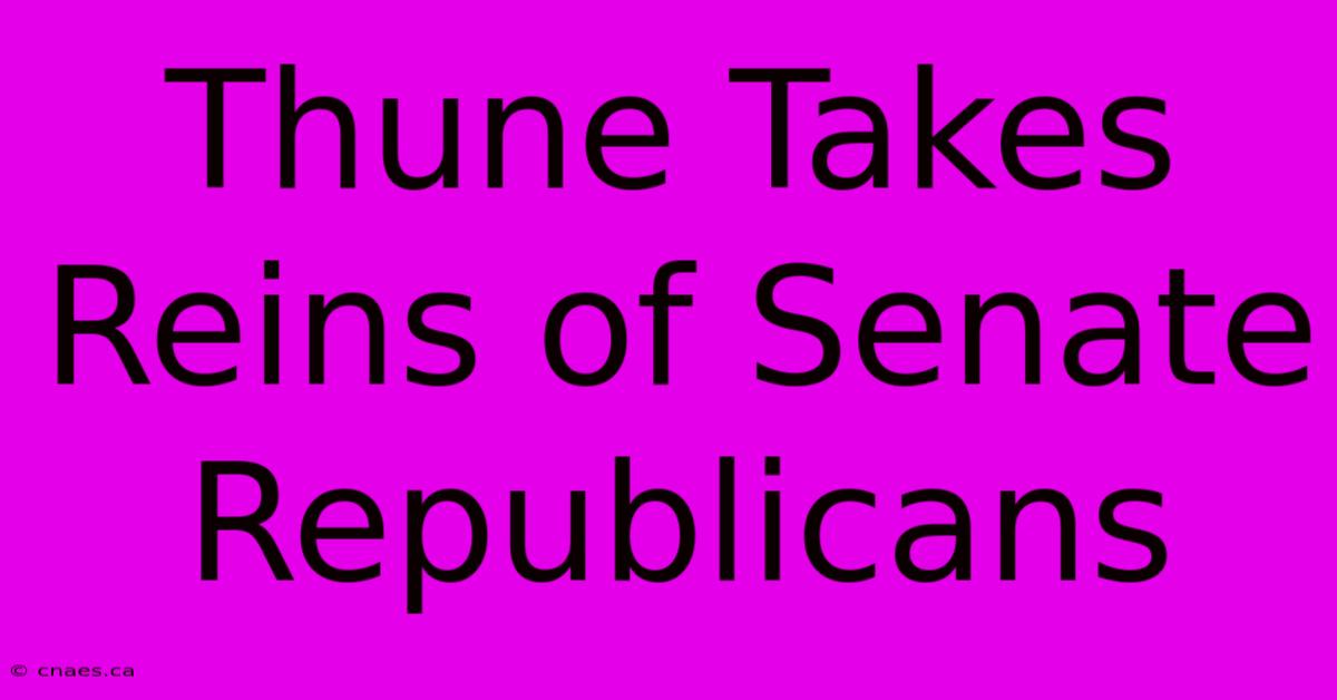 Thune Takes Reins Of Senate Republicans 