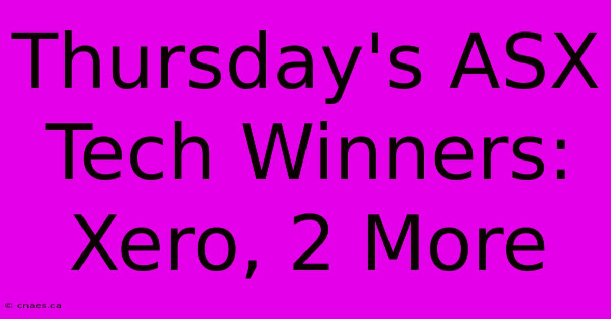 Thursday's ASX Tech Winners: Xero, 2 More