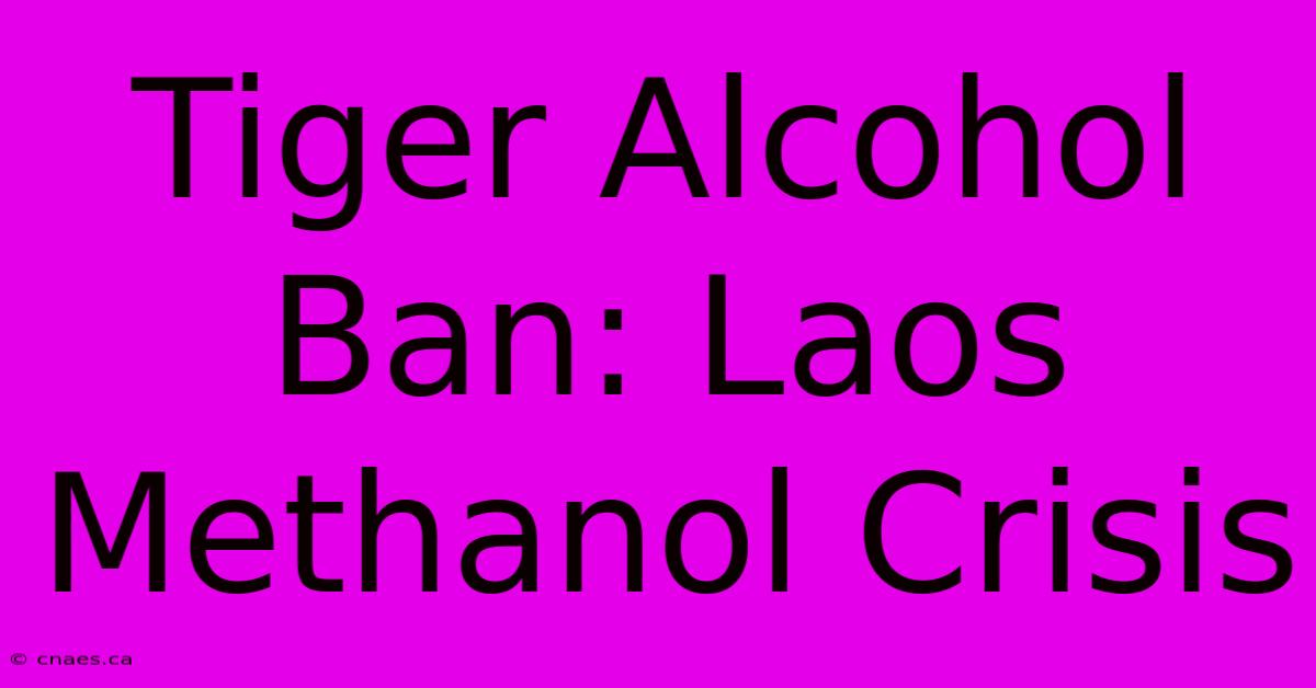 Tiger Alcohol Ban: Laos Methanol Crisis