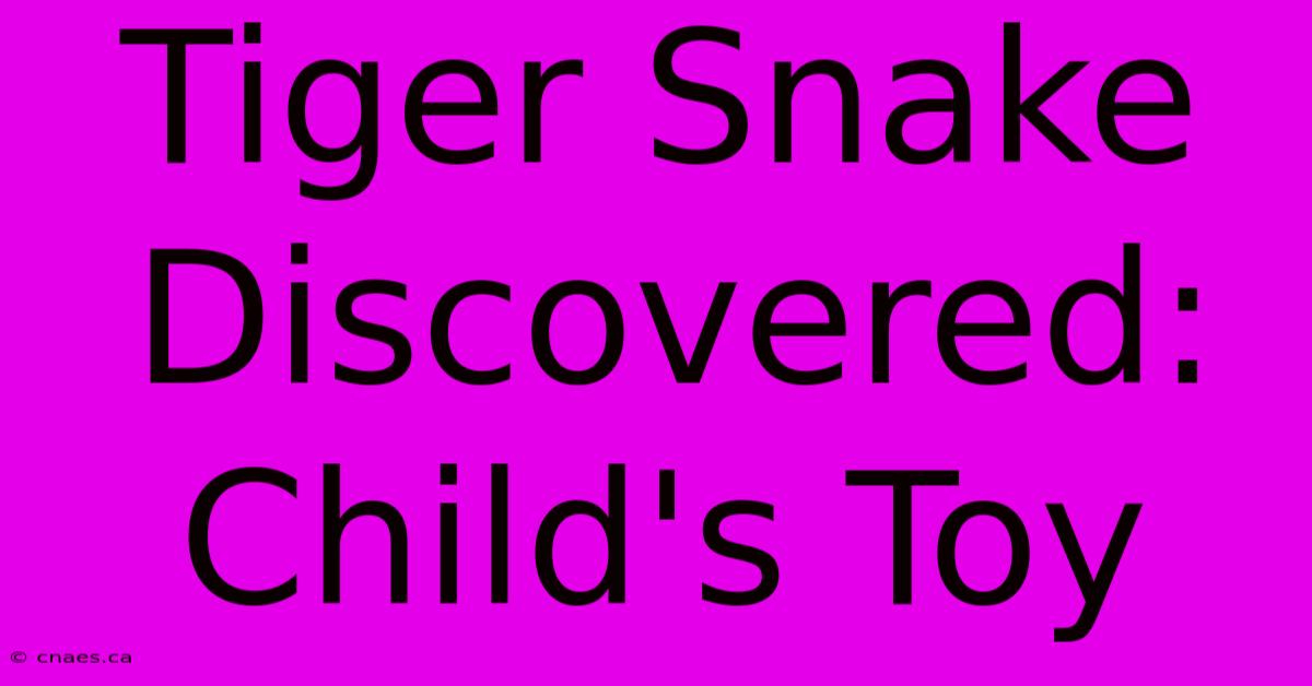 Tiger Snake Discovered: Child's Toy