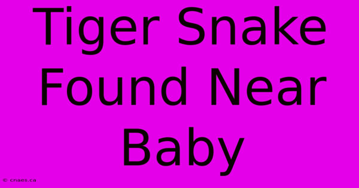 Tiger Snake Found Near Baby