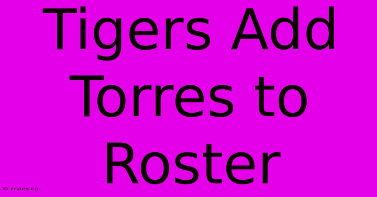 Tigers Add Torres To Roster