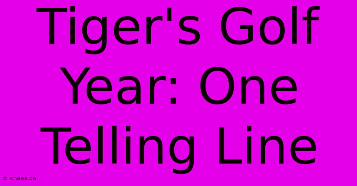 Tiger's Golf Year: One Telling Line