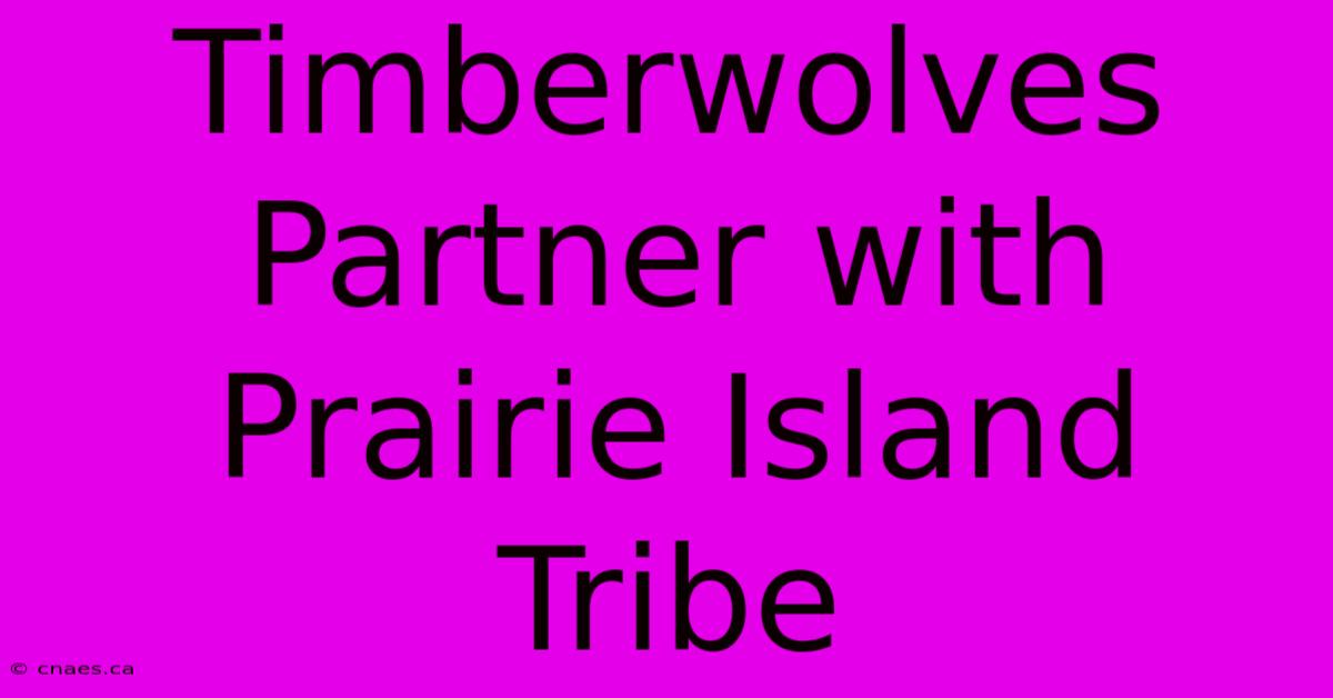 Timberwolves Partner With Prairie Island Tribe 