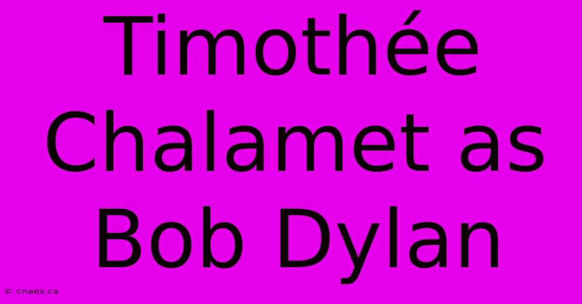 Timothée Chalamet As Bob Dylan