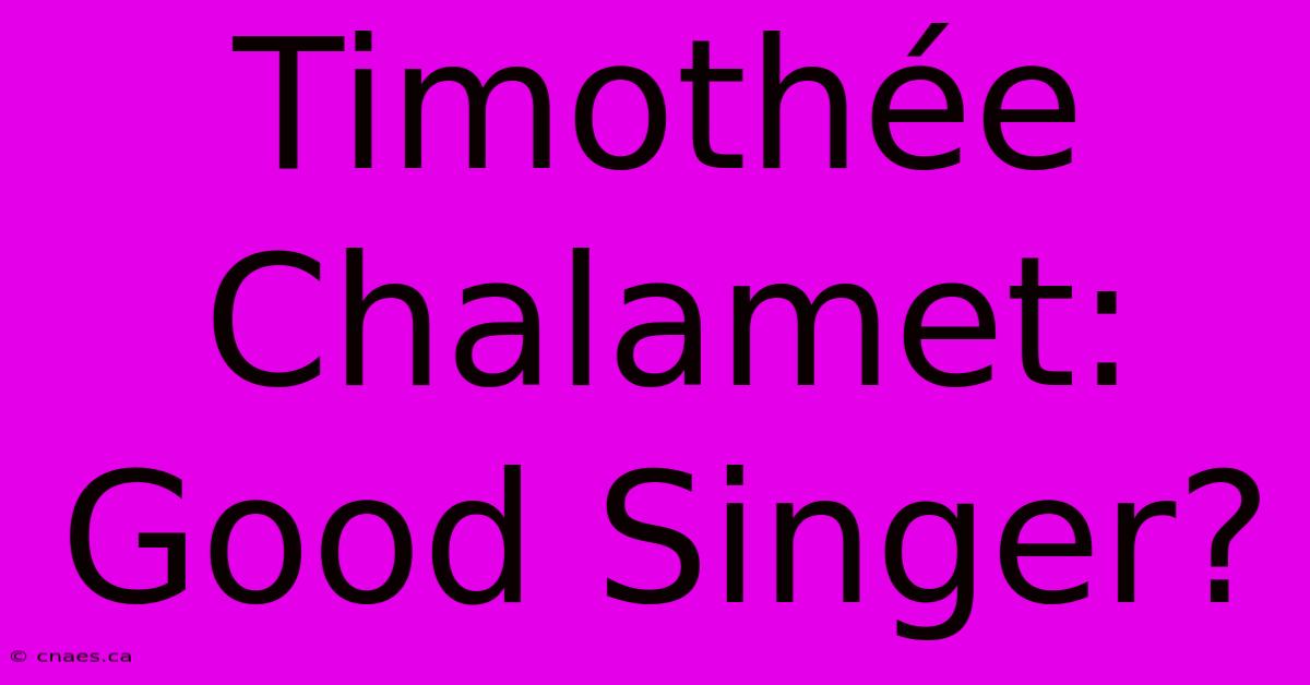 Timothée Chalamet: Good Singer?