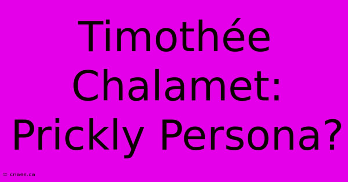 Timothée Chalamet:  Prickly Persona?