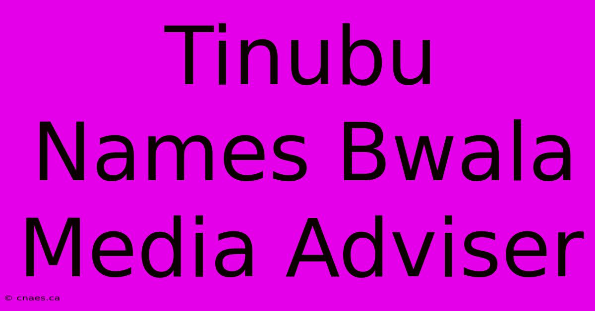 Tinubu Names Bwala Media Adviser