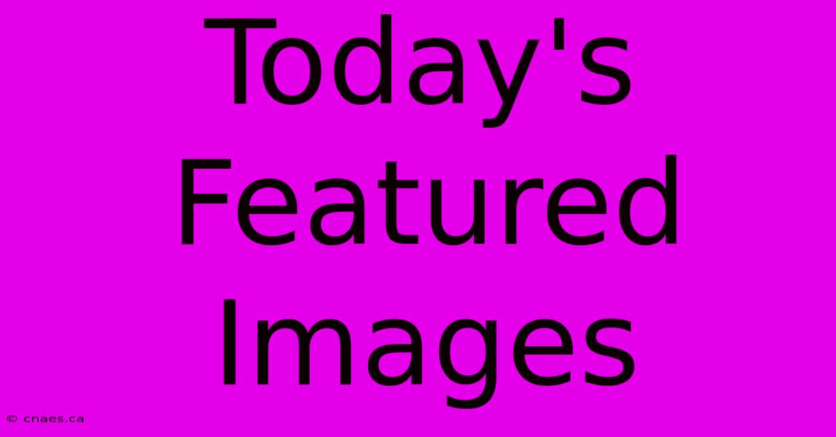 Today's Featured Images 