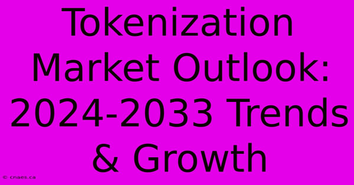 Tokenization Market Outlook: 2024-2033 Trends & Growth