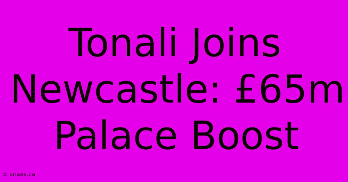 Tonali Joins Newcastle: £65m Palace Boost