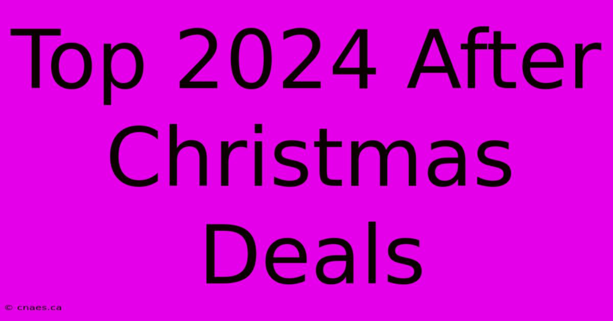 Top 2024 After Christmas Deals