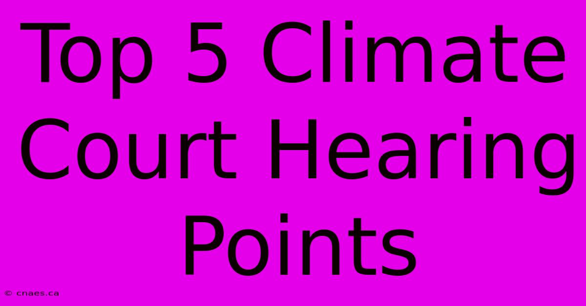 Top 5 Climate Court Hearing Points