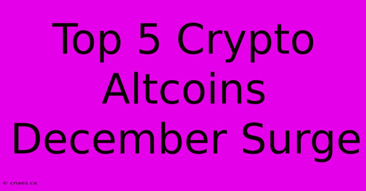 Top 5 Crypto Altcoins December Surge