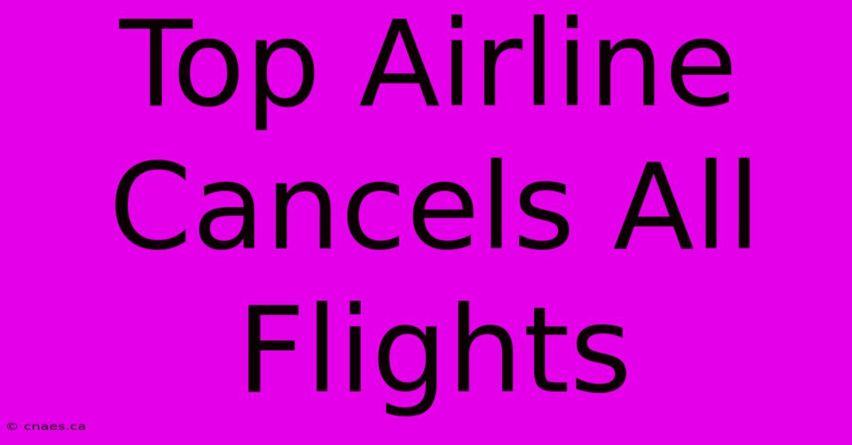 Top Airline Cancels All Flights