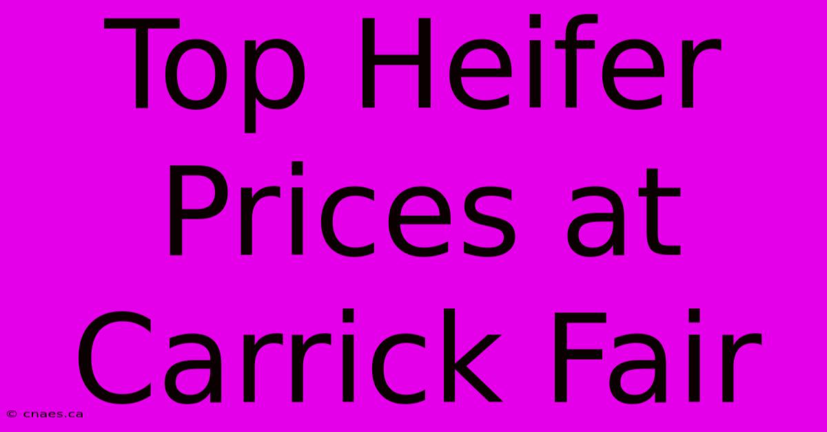 Top Heifer Prices At Carrick Fair