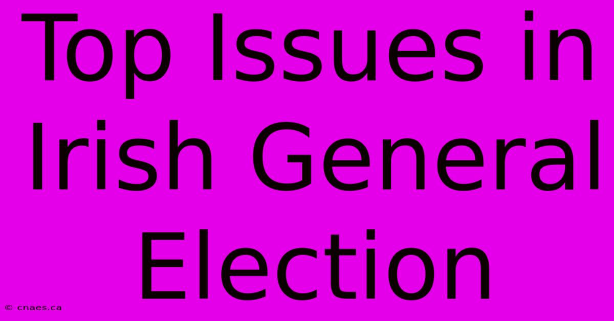 Top Issues In Irish General Election