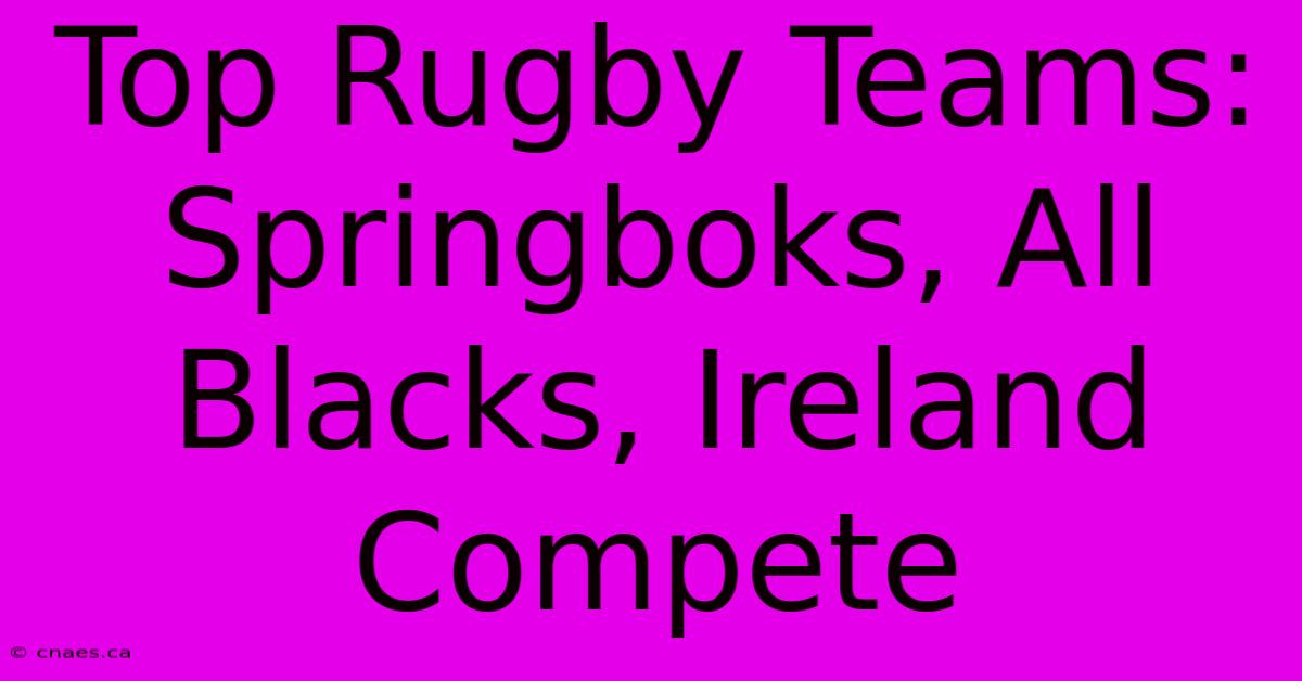 Top Rugby Teams: Springboks, All Blacks, Ireland Compete