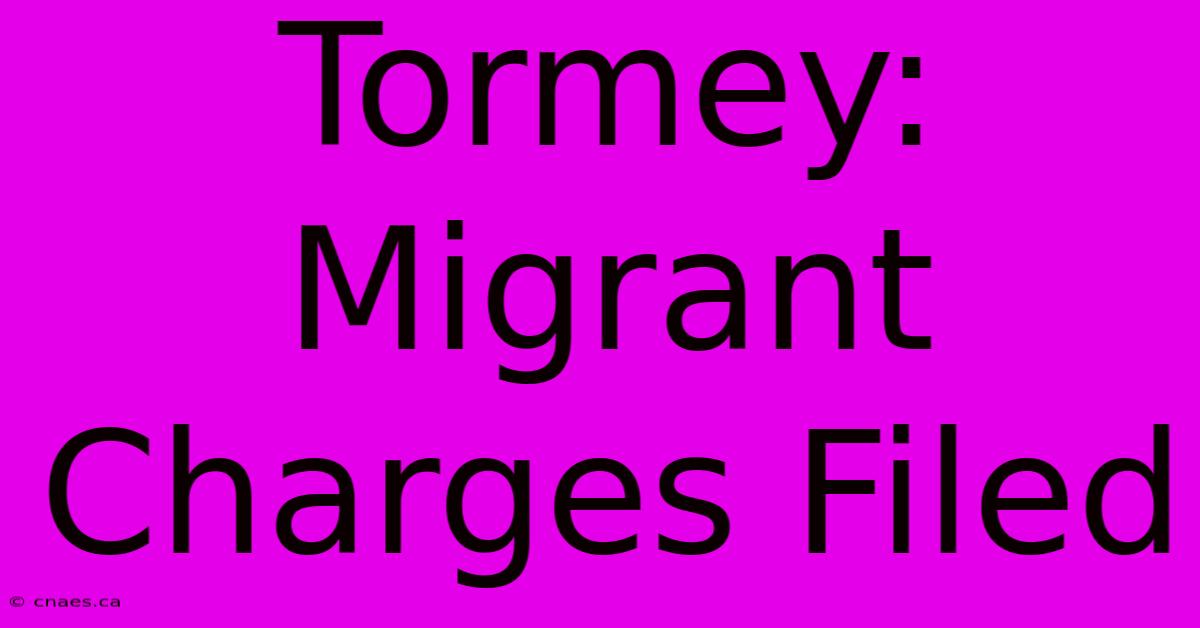 Tormey: Migrant Charges Filed