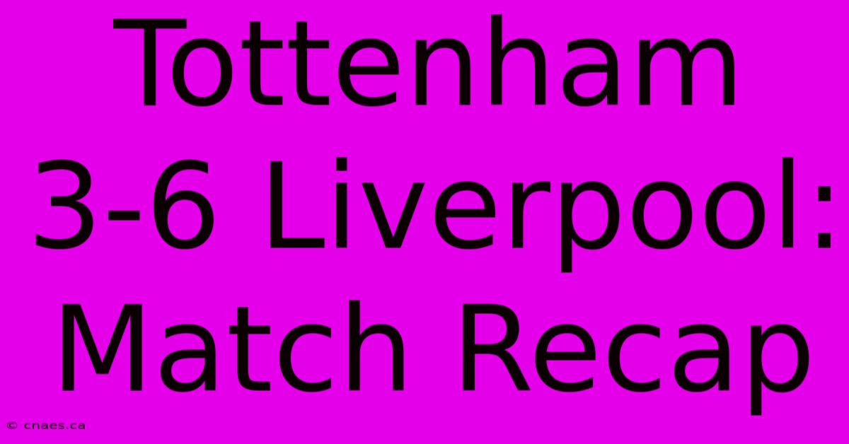 Tottenham 3-6 Liverpool: Match Recap