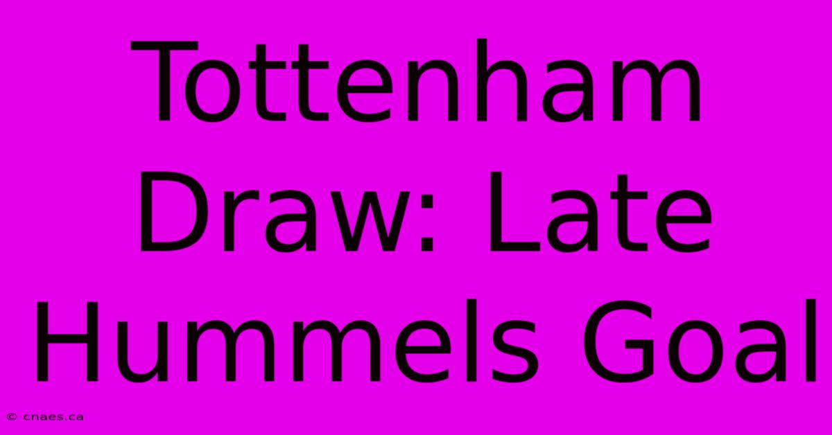 Tottenham Draw: Late Hummels Goal