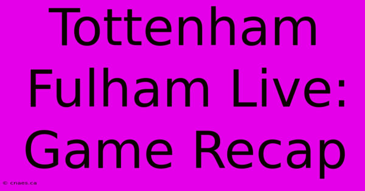 Tottenham Fulham Live: Game Recap