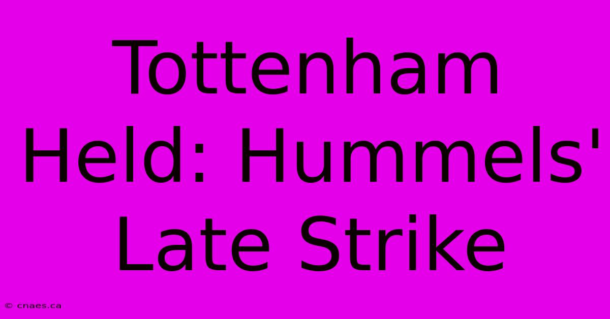 Tottenham Held: Hummels' Late Strike