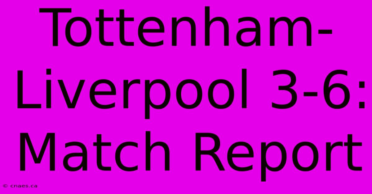 Tottenham-Liverpool 3-6: Match Report