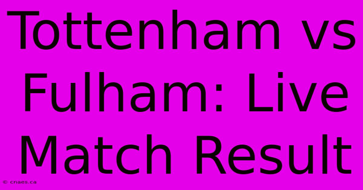 Tottenham Vs Fulham: Live Match Result